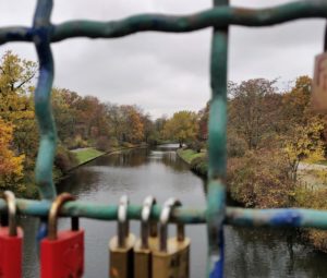 Ausblick auf den herbstlichen Tiergarten - Brückenfoto