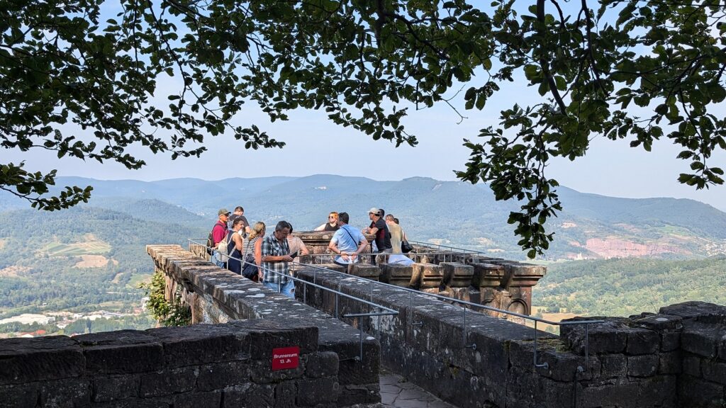 Ausblick auf die Pfälzer Landschaft