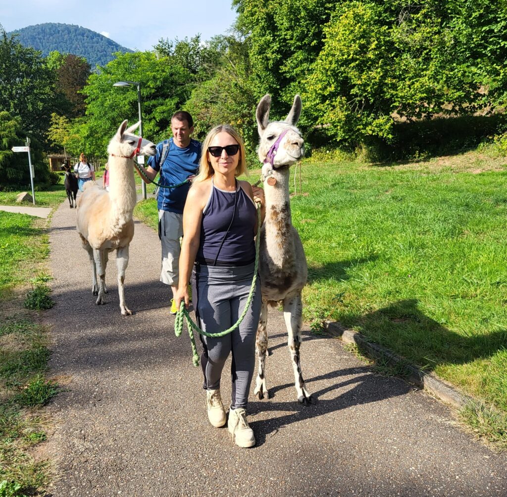 Lamawandern mit Helga - offen, freundlich, leicht verfressen