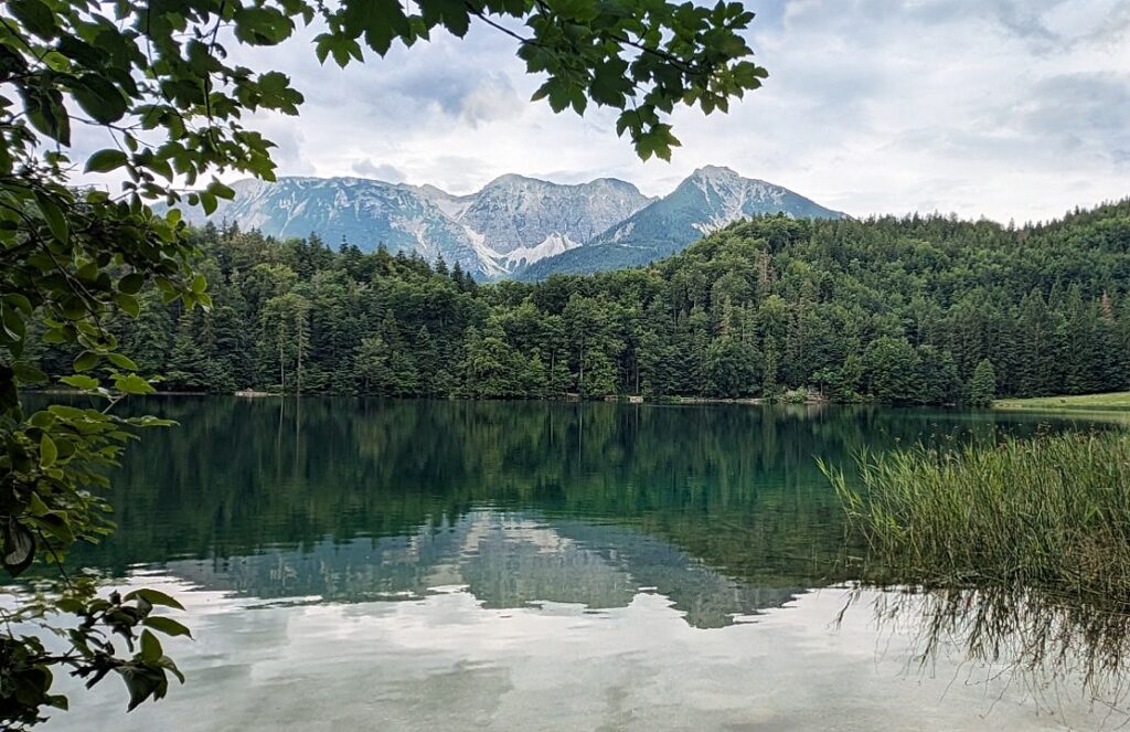 E-Bike-Tour erleben inmitten der Natur - schnell aber komfortabel - mit Zwischenstopps ganz flexibel.