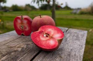 Der Weirouge-Apfel von The Jork - ein HIghlight für Auge und Gaumen