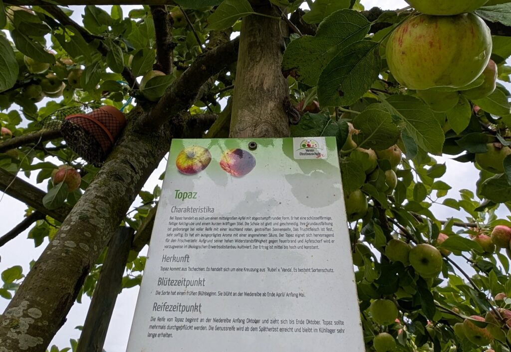 Idyllisches Areal für eine Rast - Obstlehrpfad im Alten Land - Schilder informineren über Apfelsorten und vieles weitere