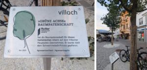 Schwammstadt Villach - ein cleveres Konzept zur Bewässerung der Bäume in der Innenstadt