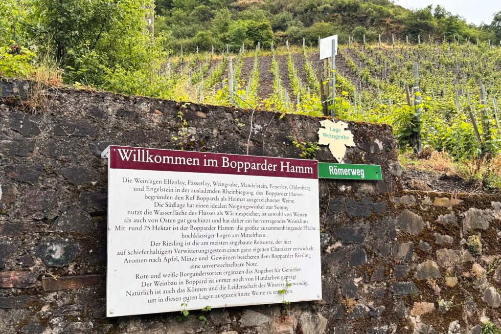 Der Bopparder Hamm - eine Weinwanderung durch imposante Steillagen.